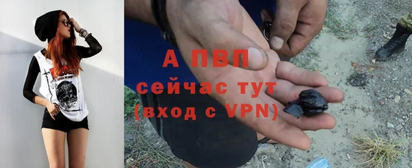 прущая мука Бородино