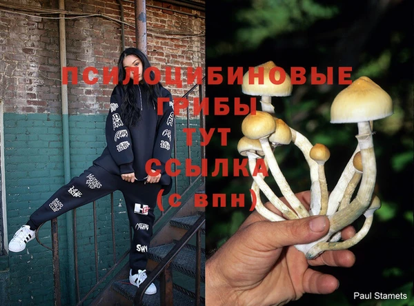 прущая мука Бородино