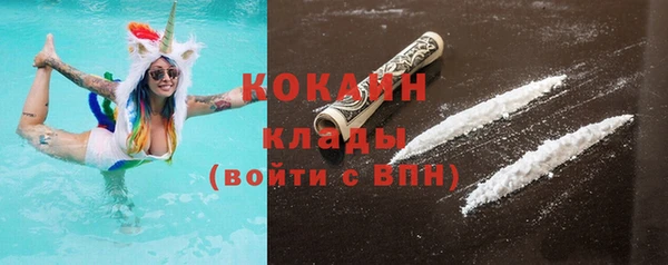 дживик Бронницы
