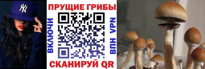 Купить  Мариинск  Галлюциногенные грибы прущие грибы 